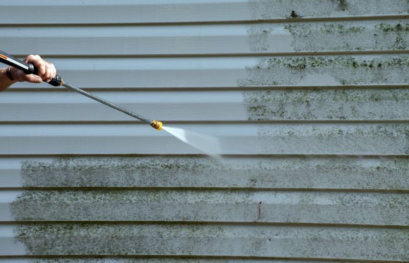 Cedar Siding Cleaning