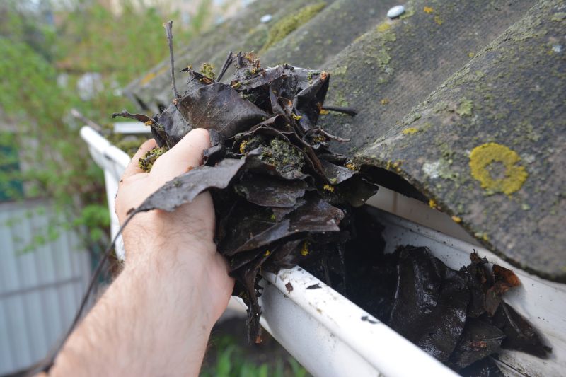 Downspout Cleaning in Long Island, NY