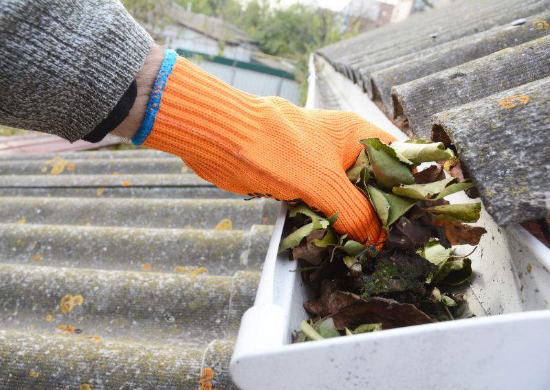 Gutter Leaf Clearing in Rochester, NY