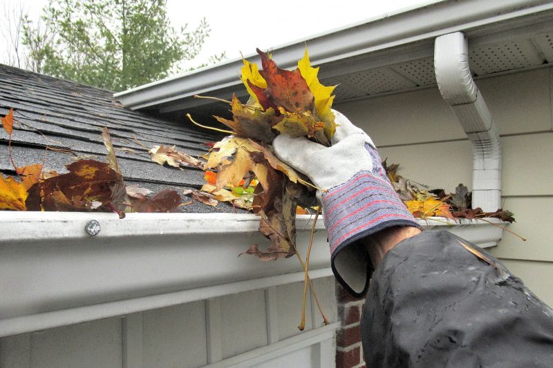 Gutter Pine Needle Removal in Richmond, VA